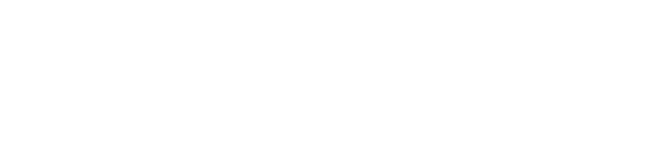 Barack Ashtari - Insurance Agent